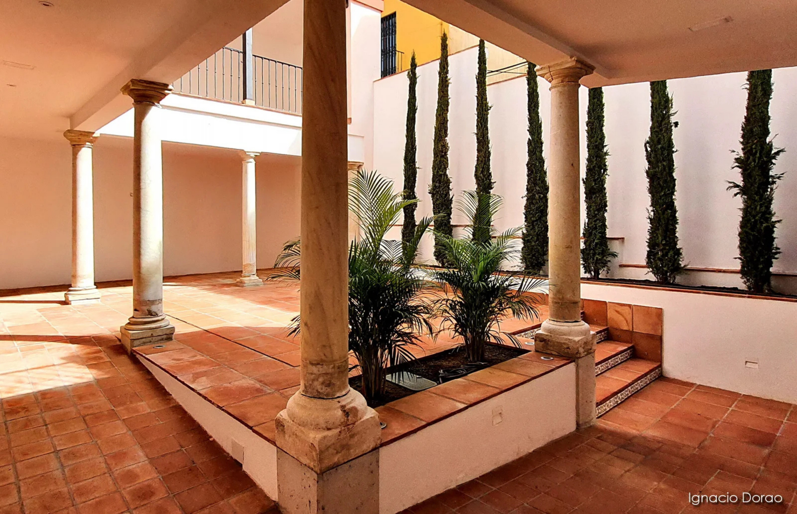 Diseño sin título (36)