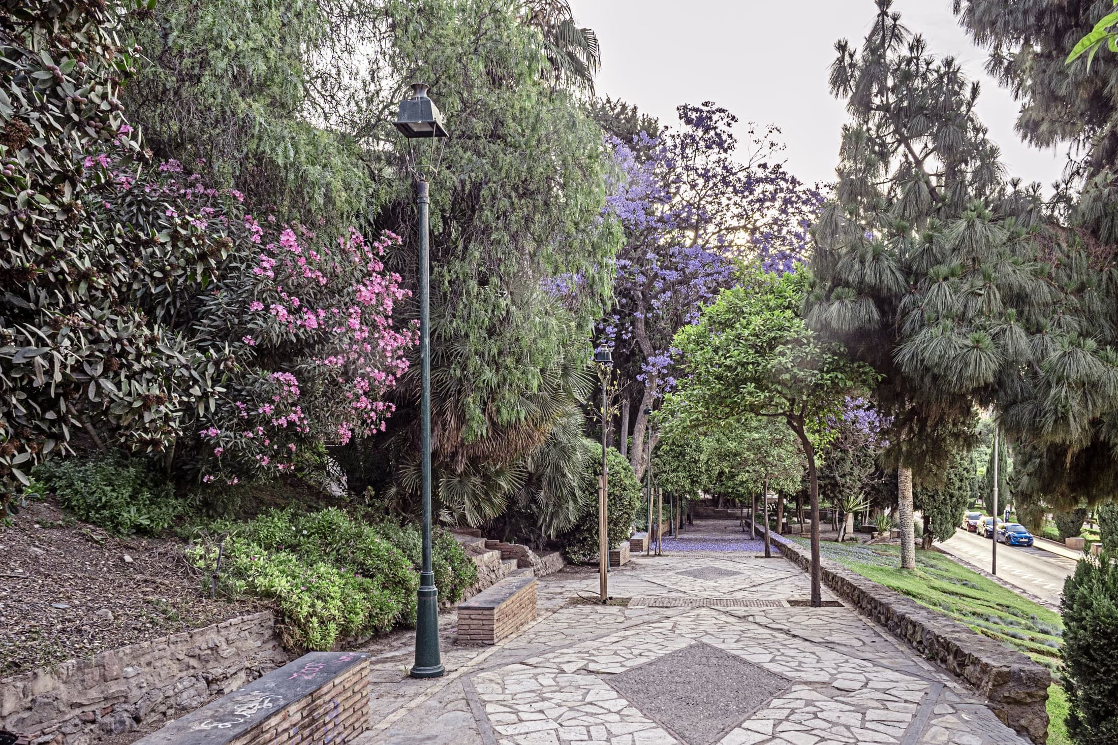 jardinpuertaoscura5