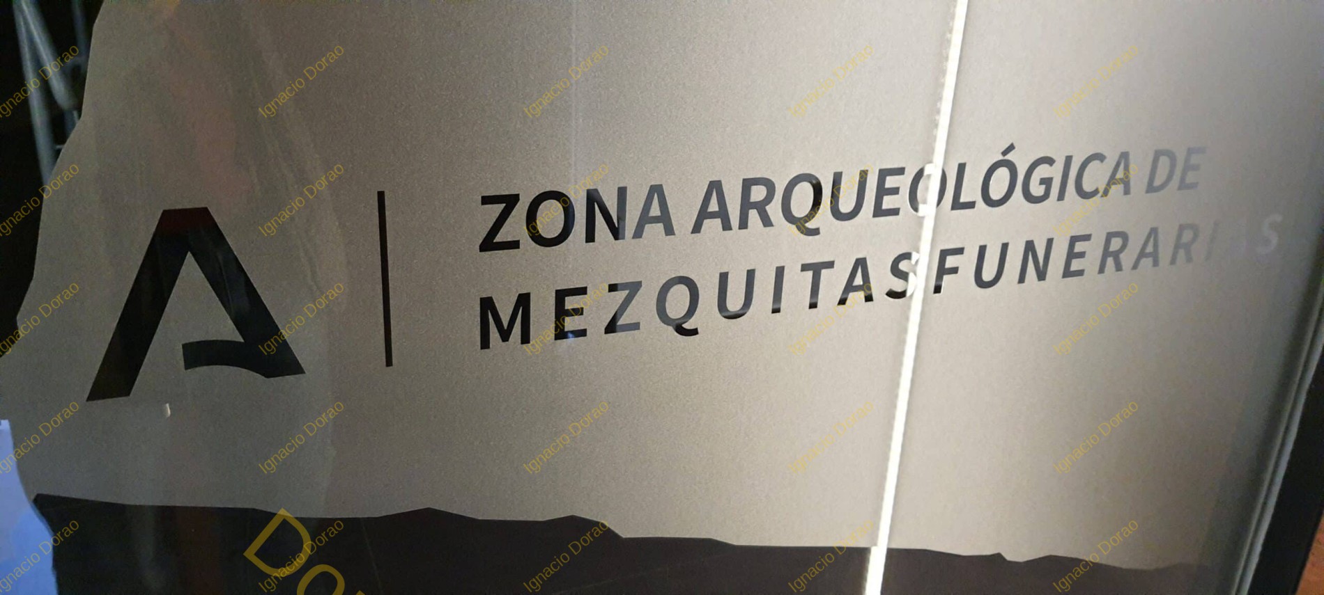 20221207_100652