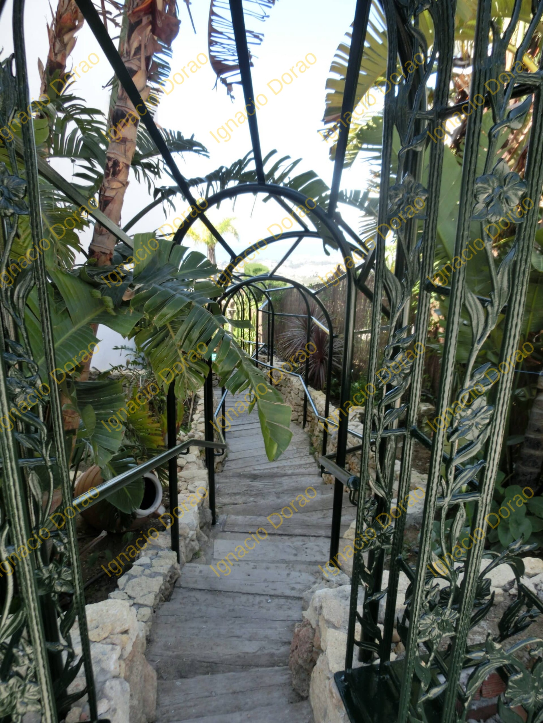 CIMG0591