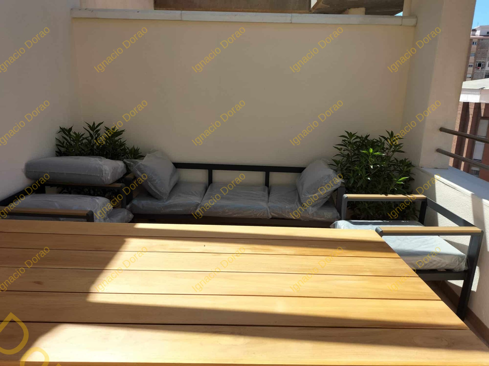 WhatsApp Image 2025-12-28 at 23.30.42 (1)