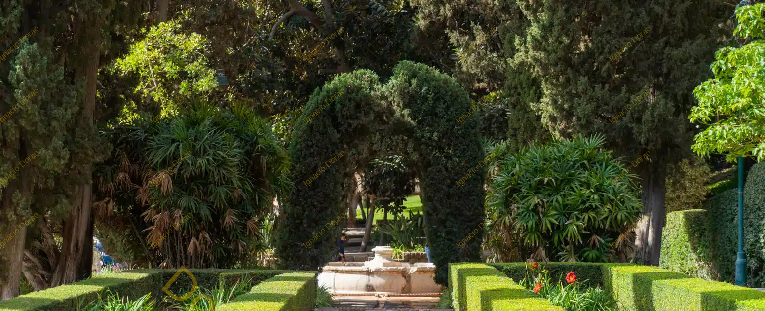 arc_32897_g