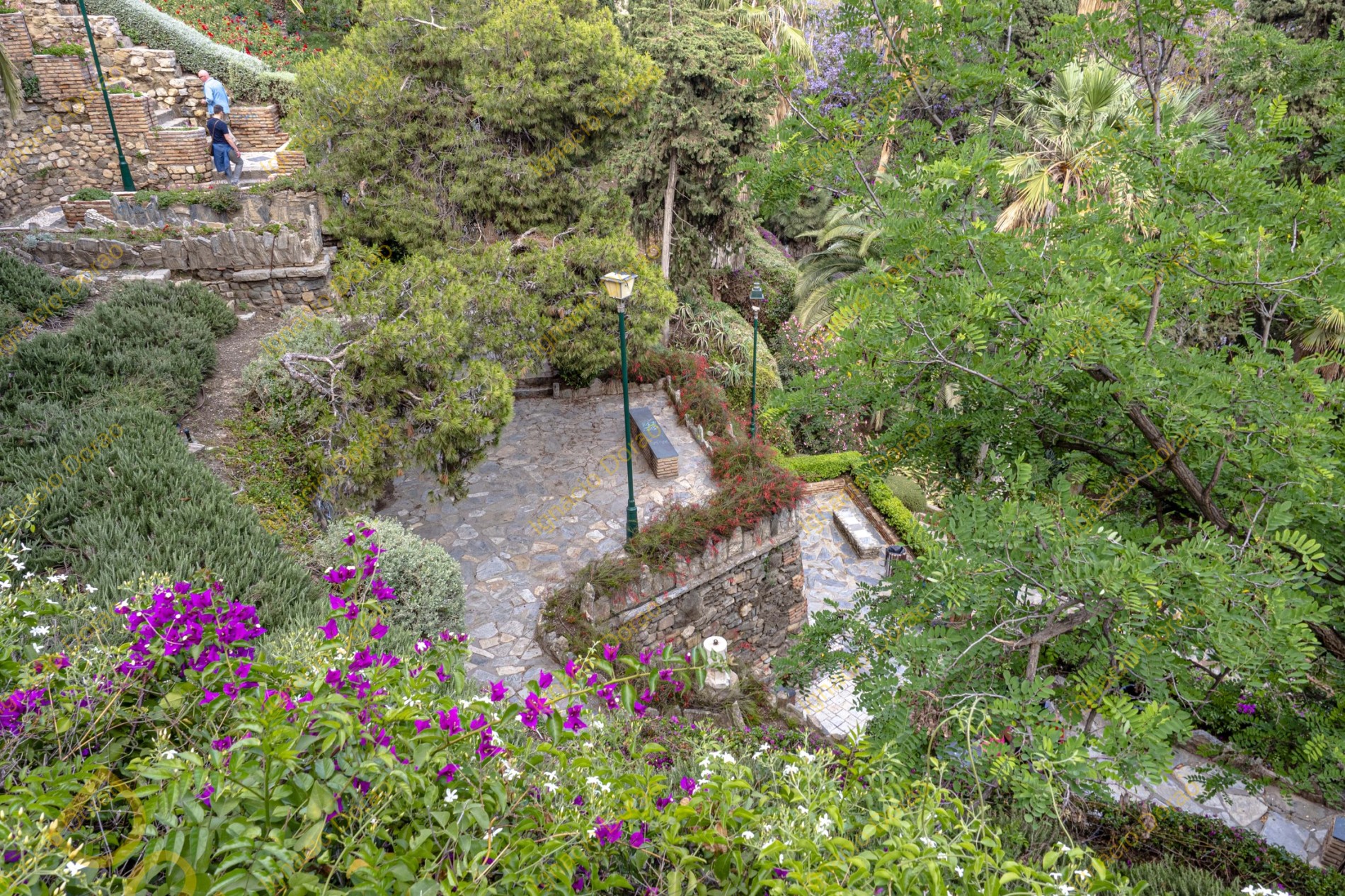 jardinpuertaoscura2