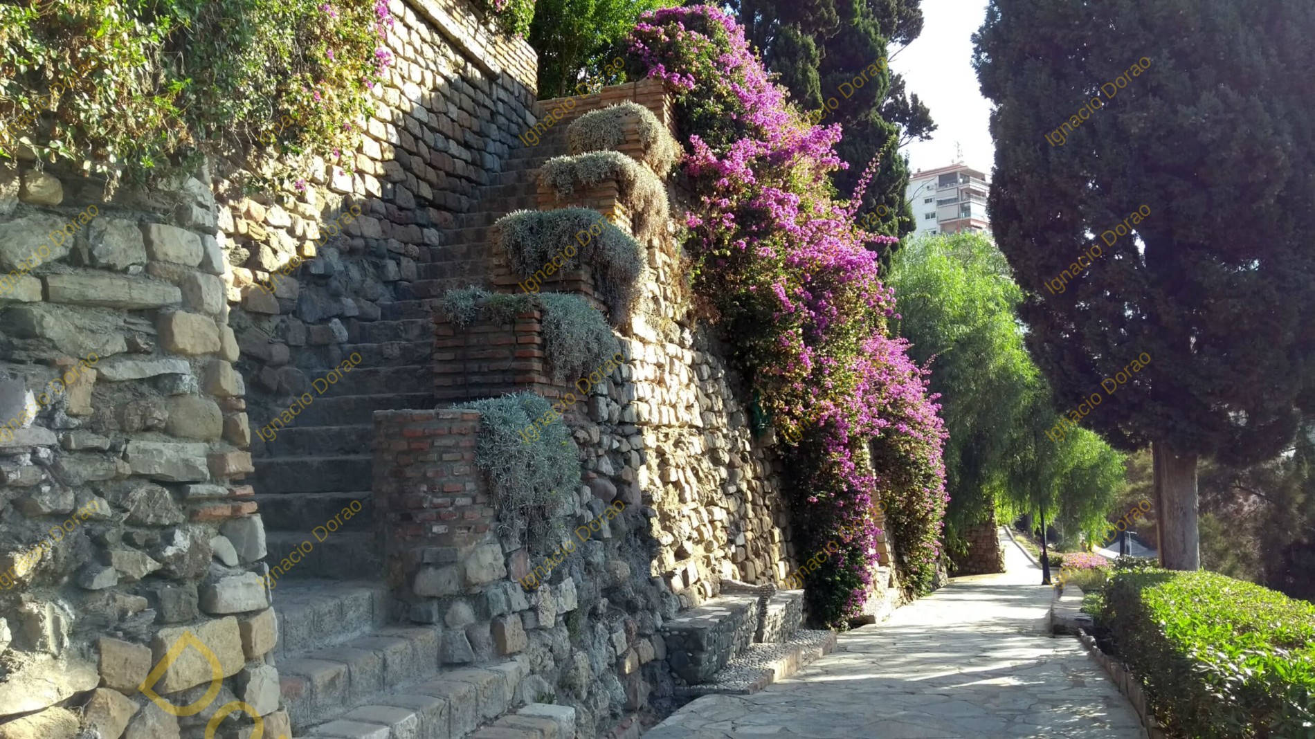 puertaoscura1
