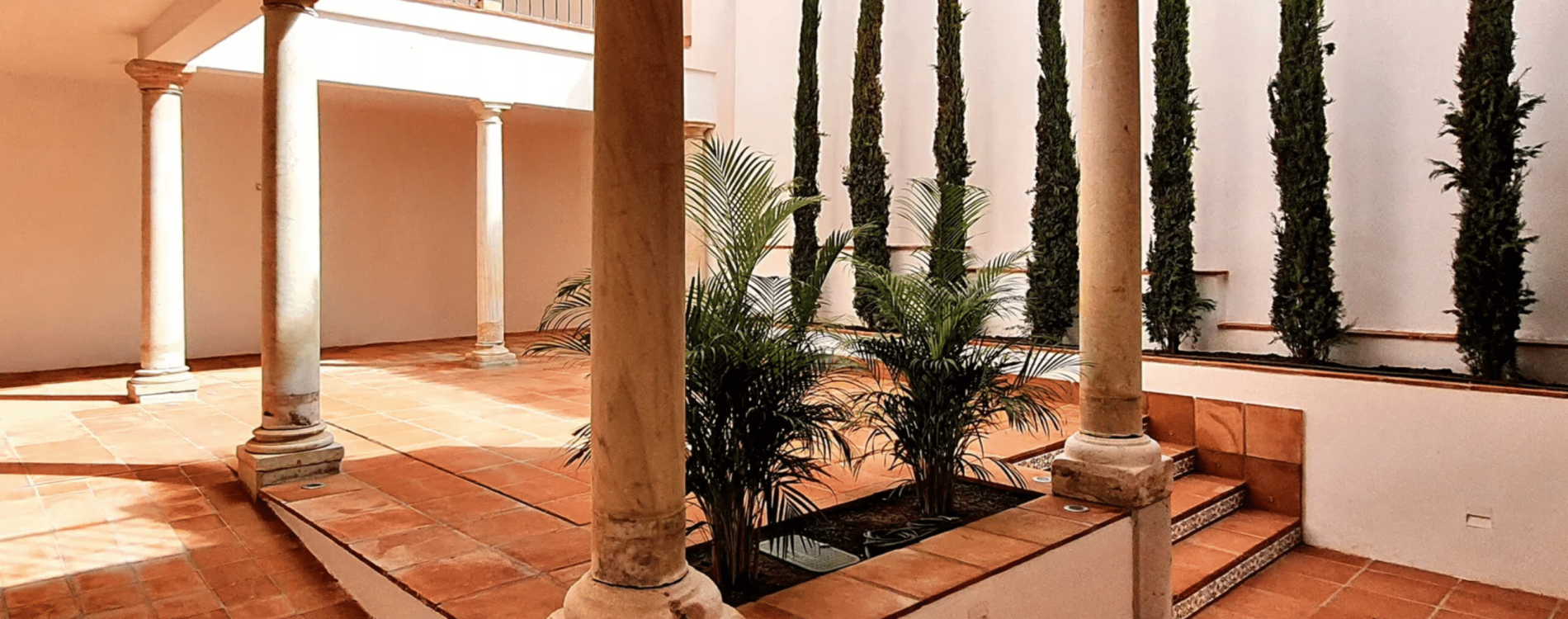 Diseño sin título (36)